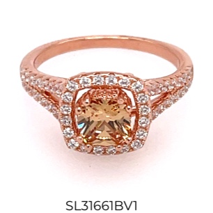 SL31661BV1