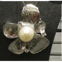 SP180227