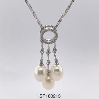 SP180213