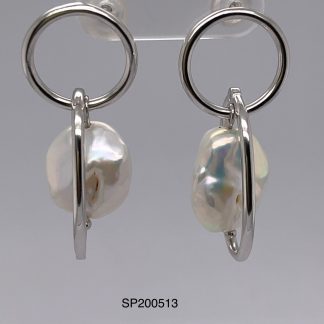 SP200513