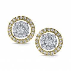 SET00038-ER