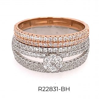 R22831-BM